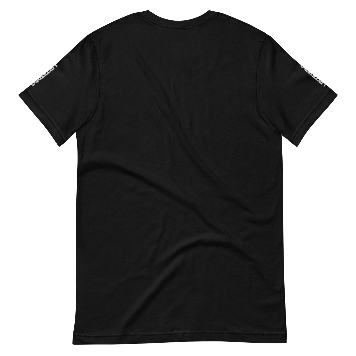 UNSYN Regular T-Shirt, 100% Cotton, UNISEX, embroided (gestickt) logo, front